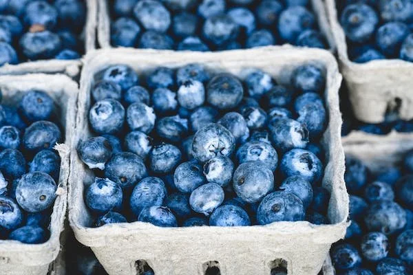 Benefits of a Healthy Diet