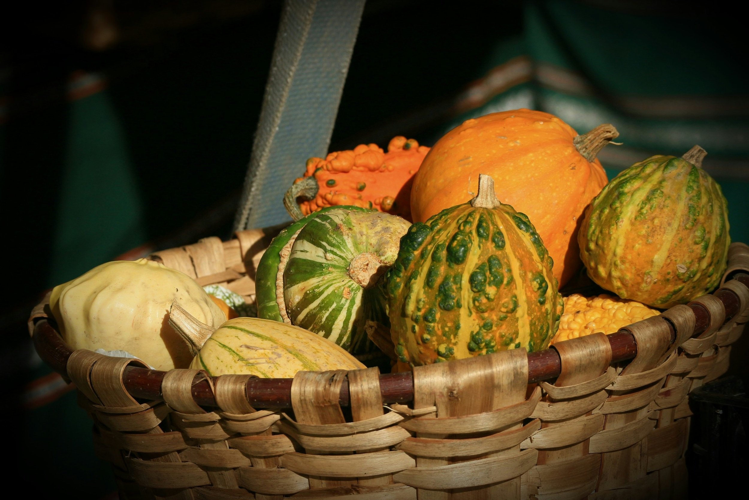 Giving Away Our Harvest: “Grandparenting” in Mission
