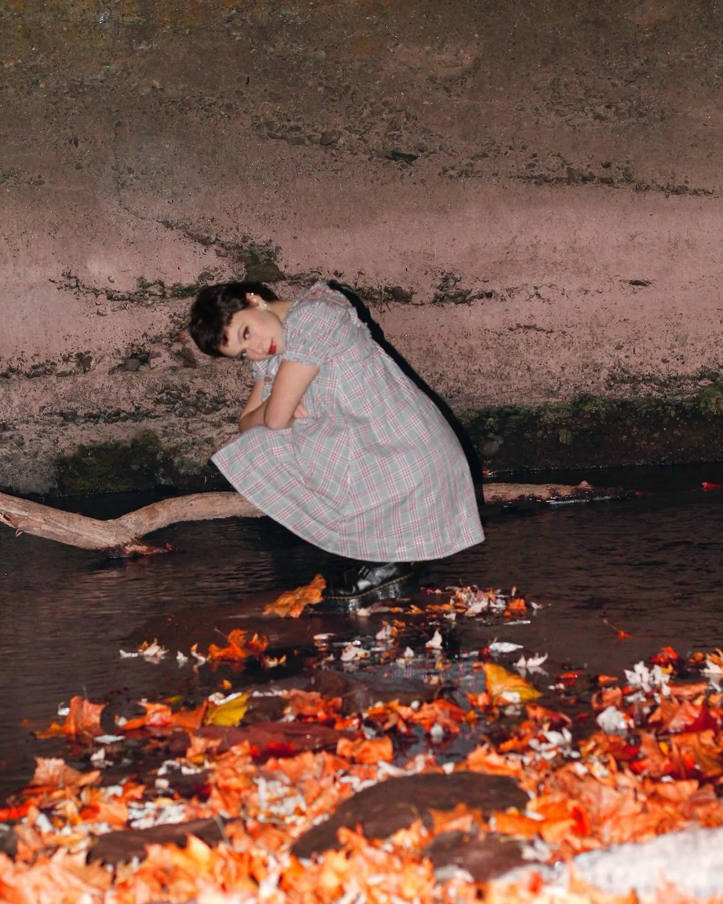 📸@fromthewingsphotography