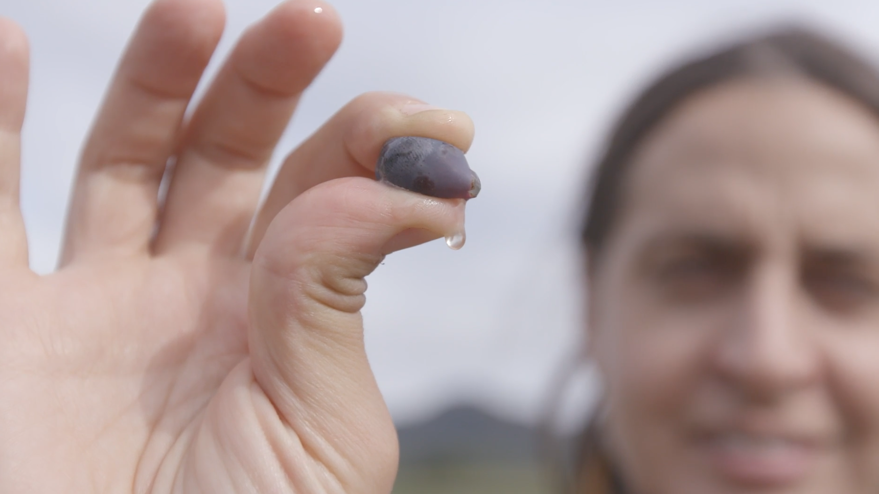 Screen Shot 2022-02-18 at 11.53.26 AM.png