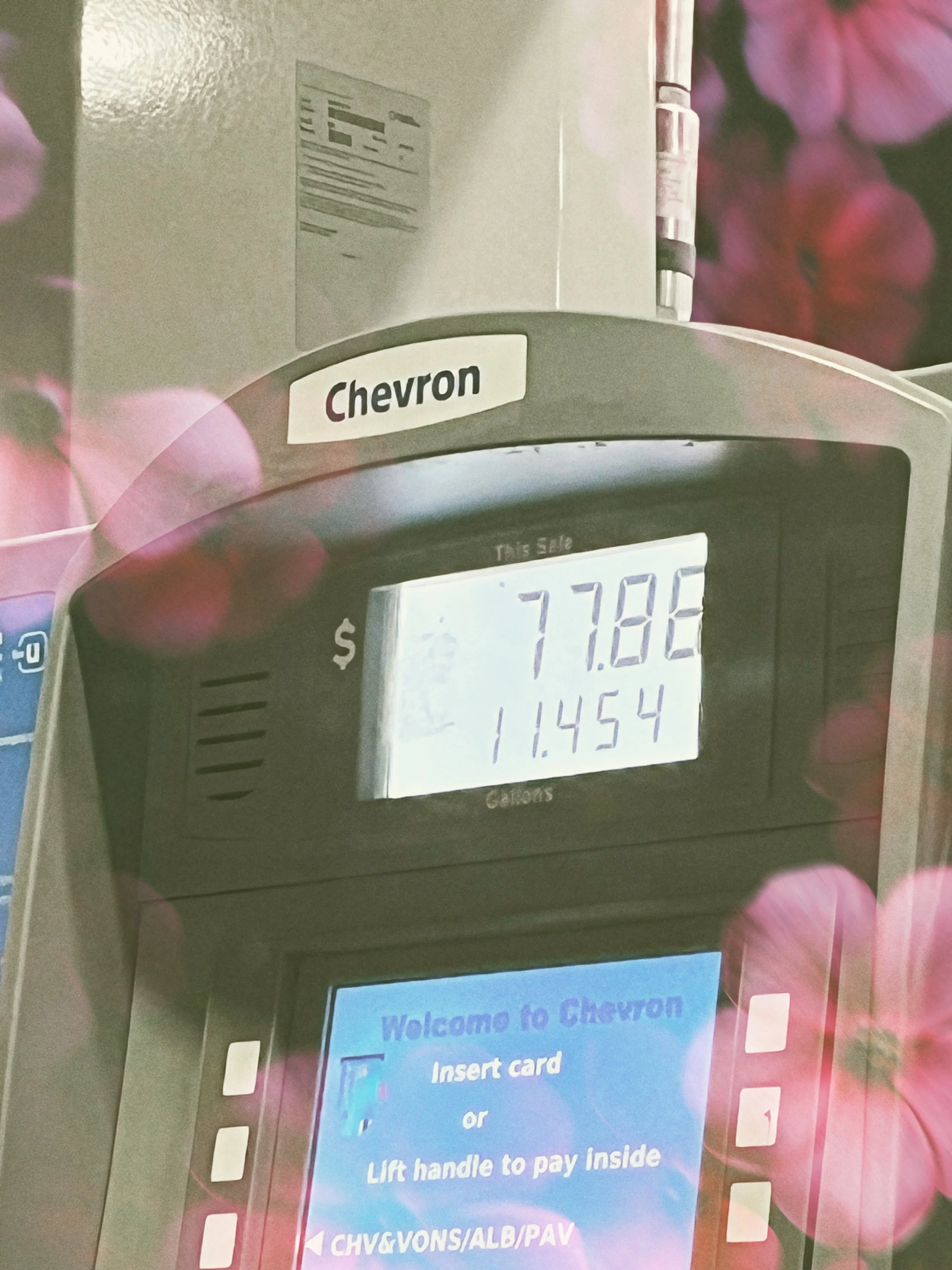 temp_Afterlight 2.JPG