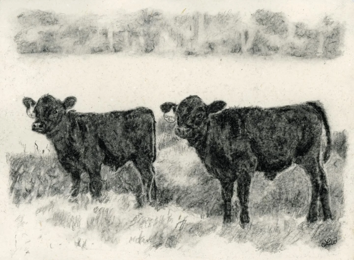 On July 31st, I will be at the Art Market on Main in Springville! I will have original paintings, drawings, and prints available. This lovely print will be there :)
#artmarketonmain #springvillealabama #smalltownartist #handmademarket