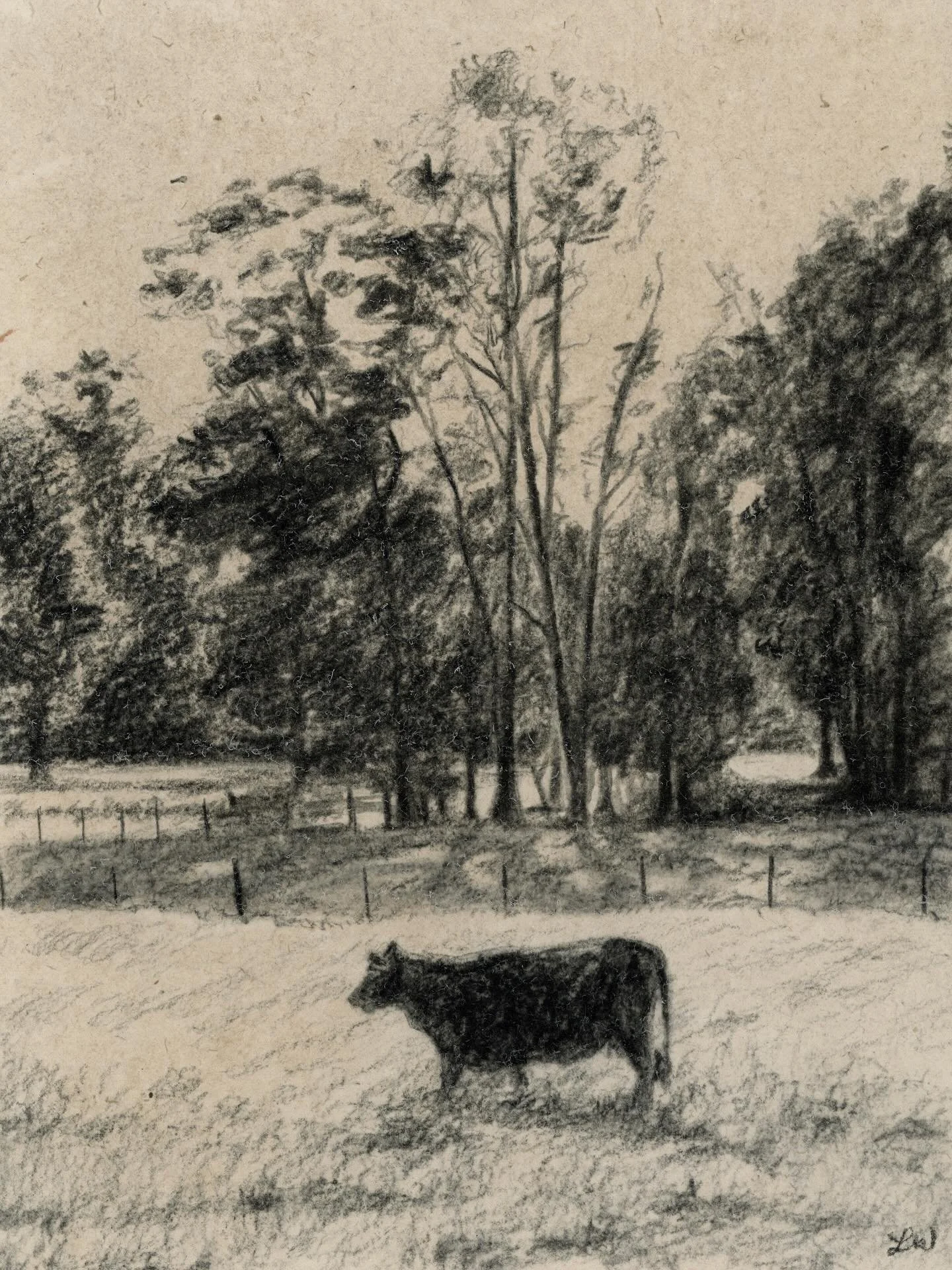 I&rsquo;ve been painting and drawing since we got back from being in Montgomery for a few days. I have a show next week in Springville! This original charcoal drawing on handmade paper has sold. BUT, I will have more to come soon! #springvilleartmark