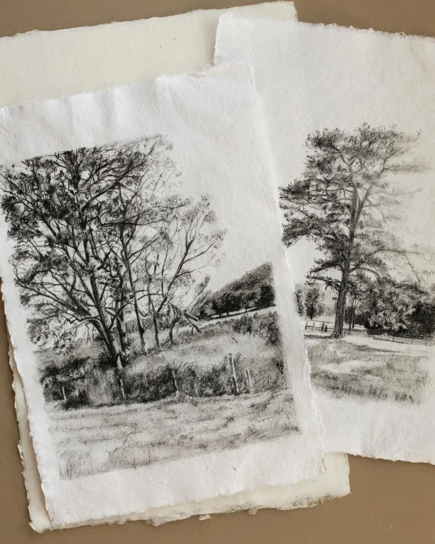 Charcoal on cotton rag paper I got while I visited the National Gallery in London. Time for some new things this year.