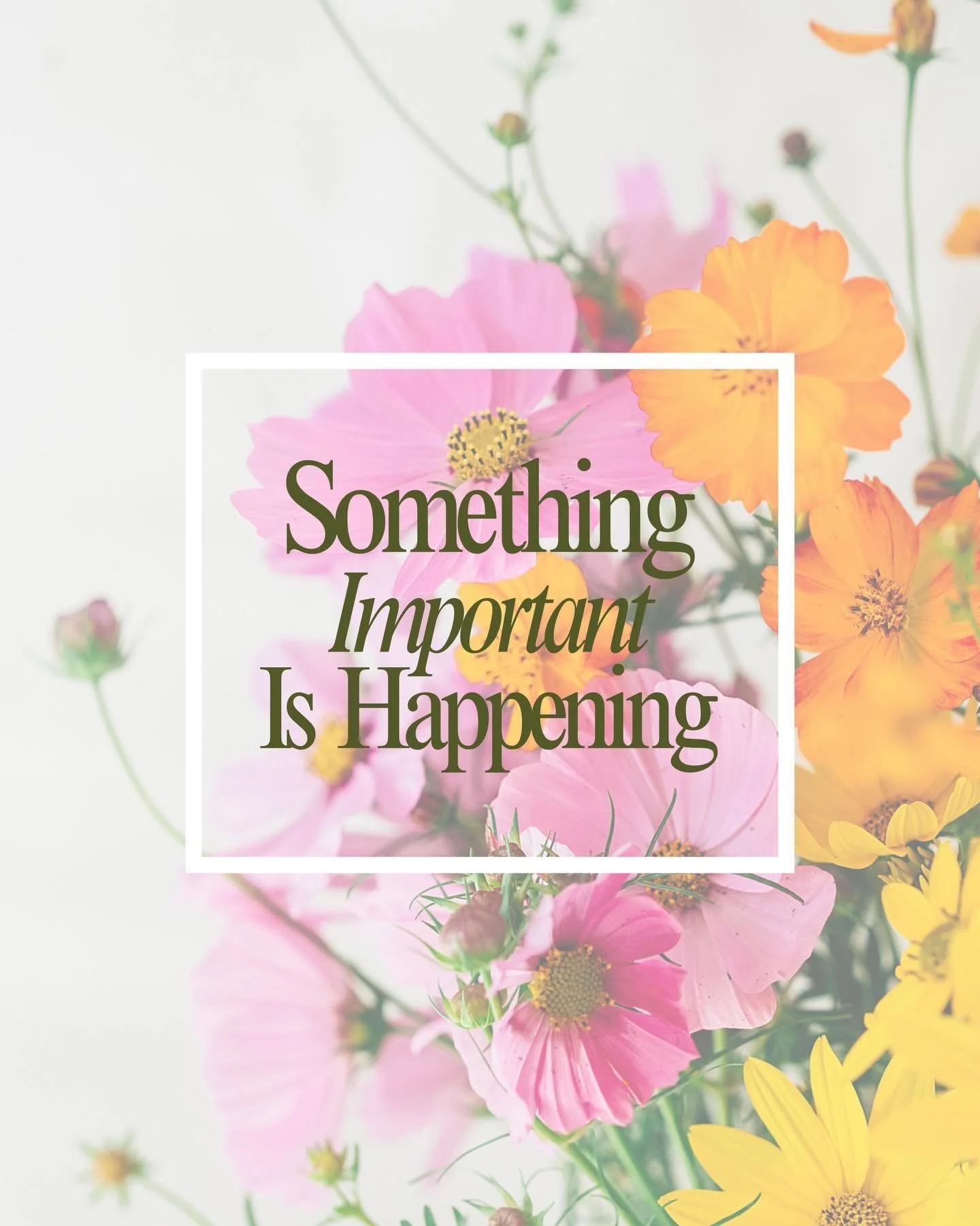 I have a few important updates for 2026!! The major takeaway is that I am NOT retiring from everything (just a few things). Please read the slides for more information!