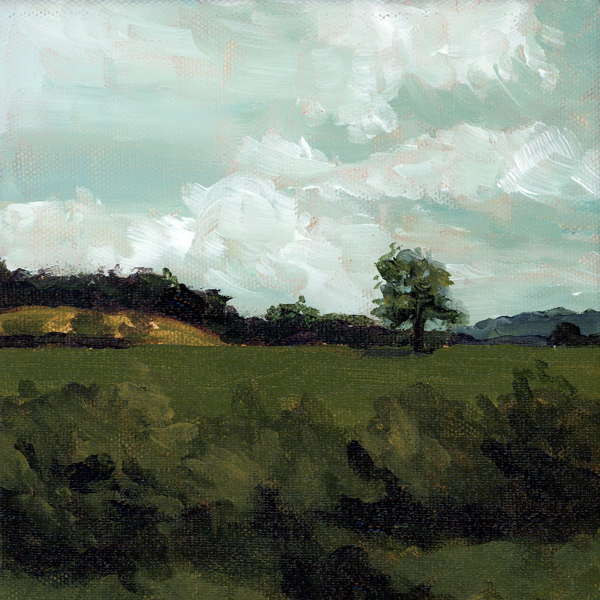 Irish Hillside