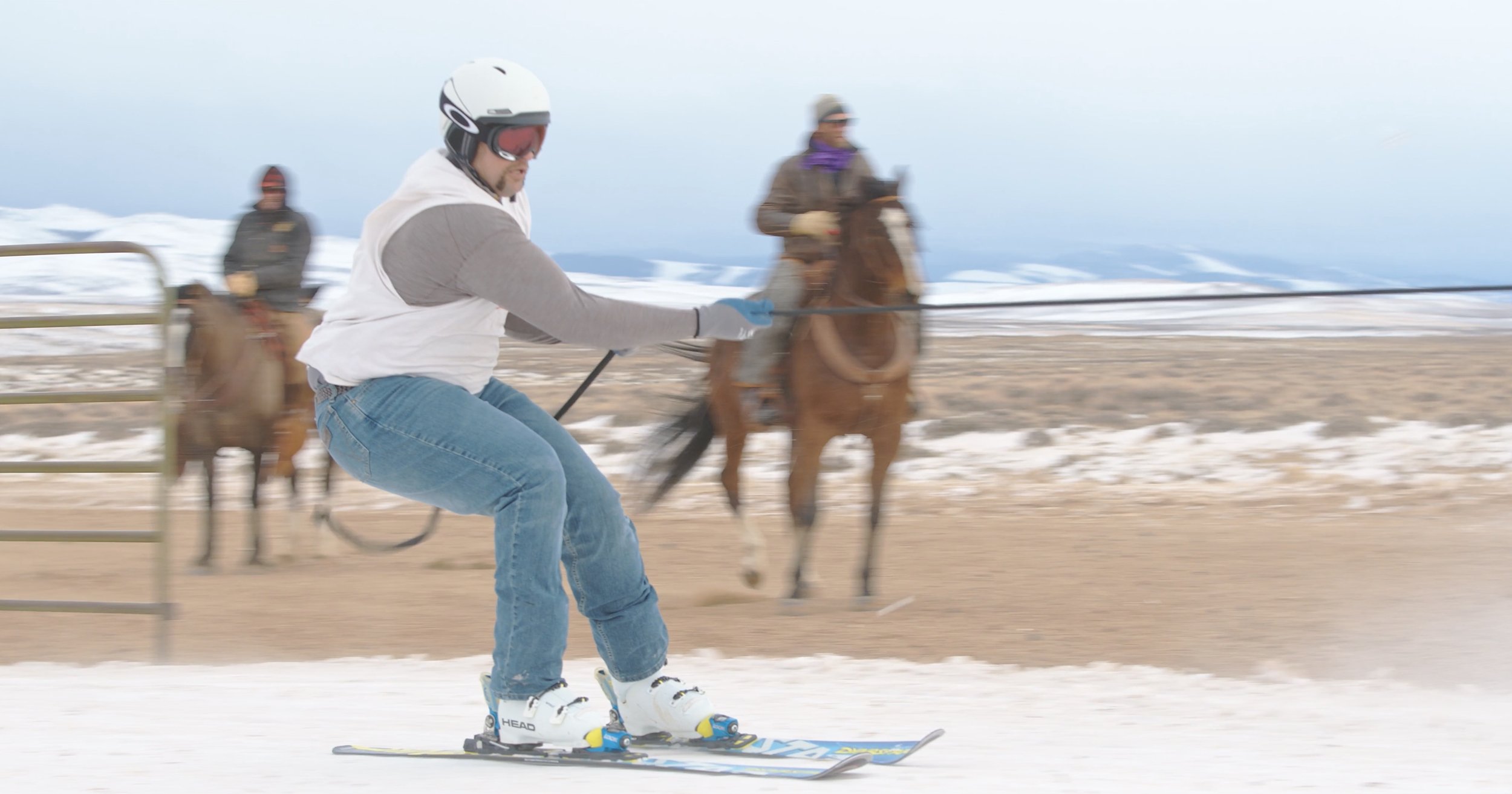 Person skiing while being pulled by a horse in snowy area