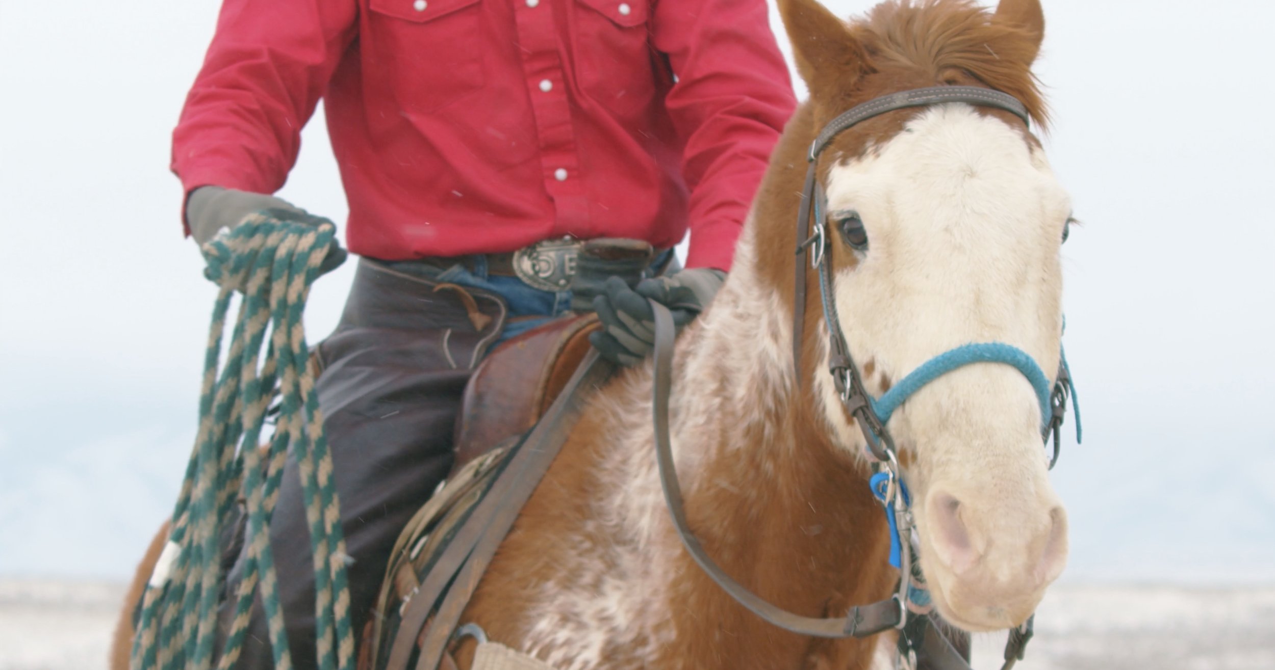 Person in red shirt riding a brown and white horse holding a rope.