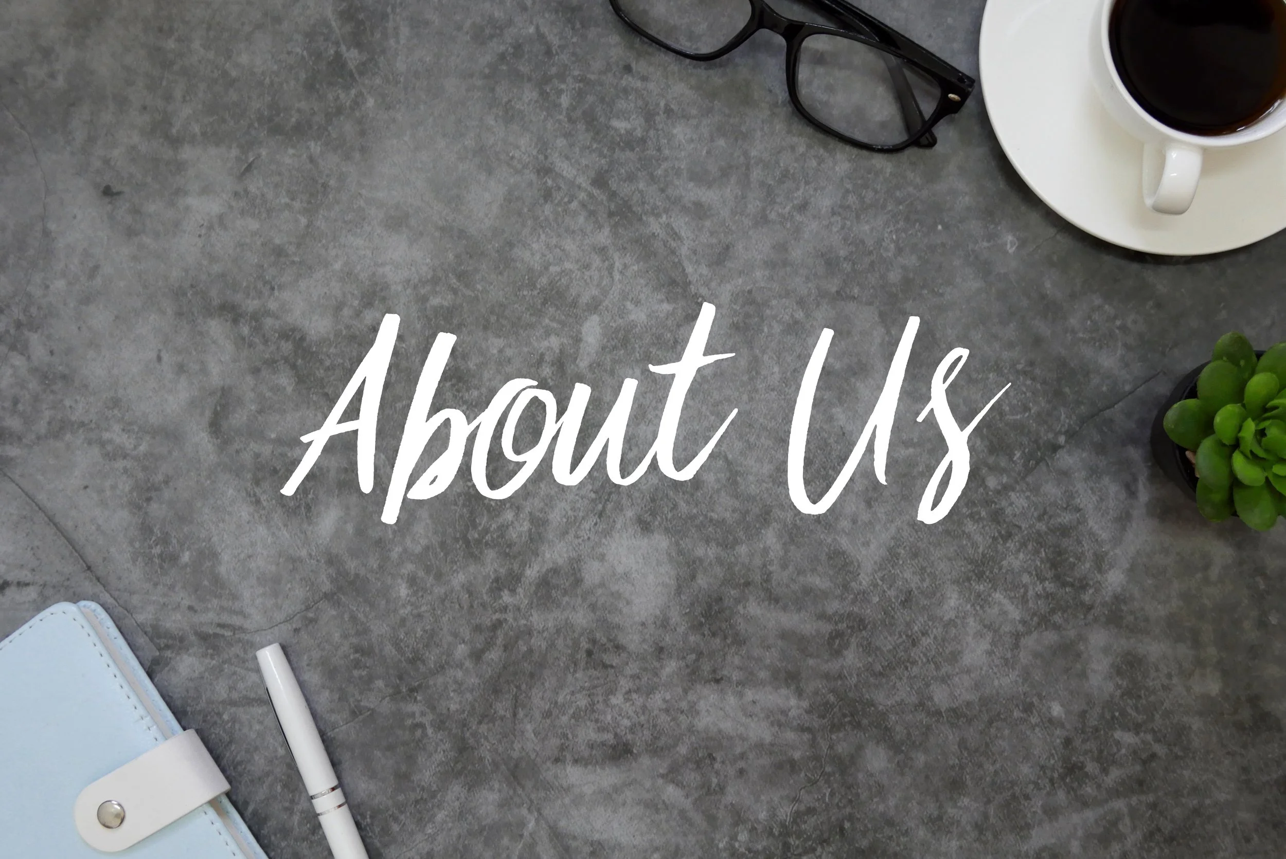 Our Company