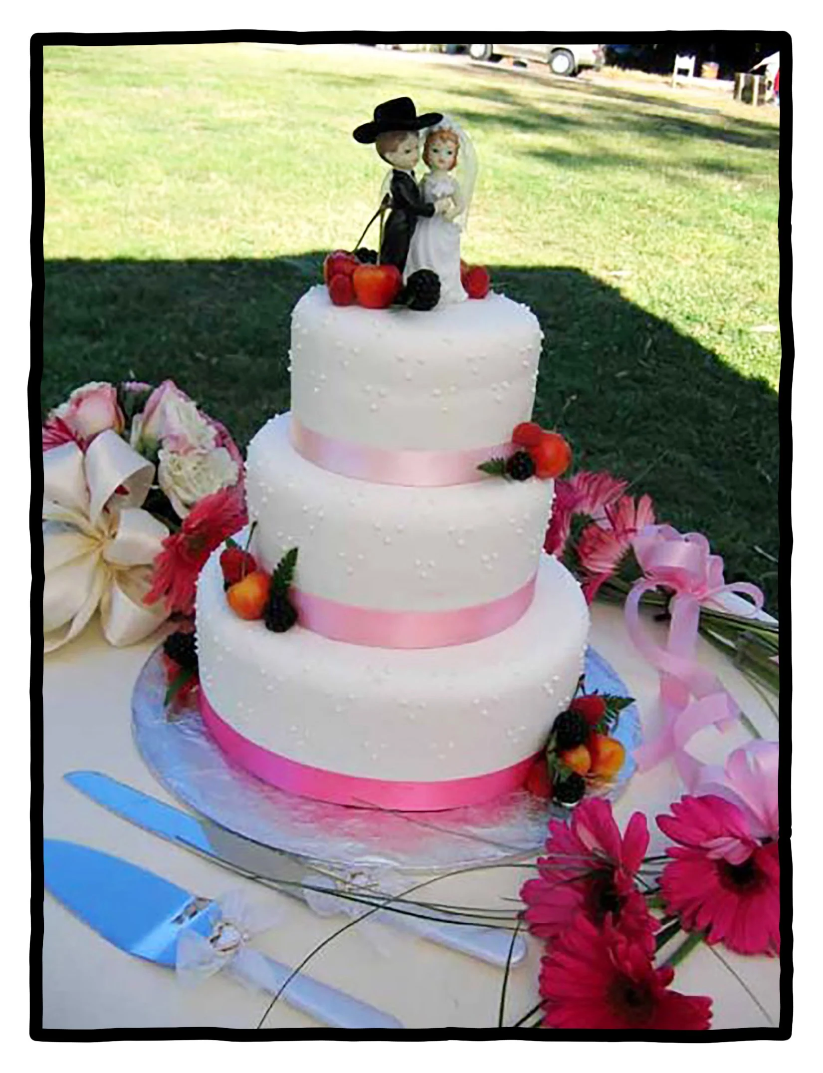 Webs Cake.jpg