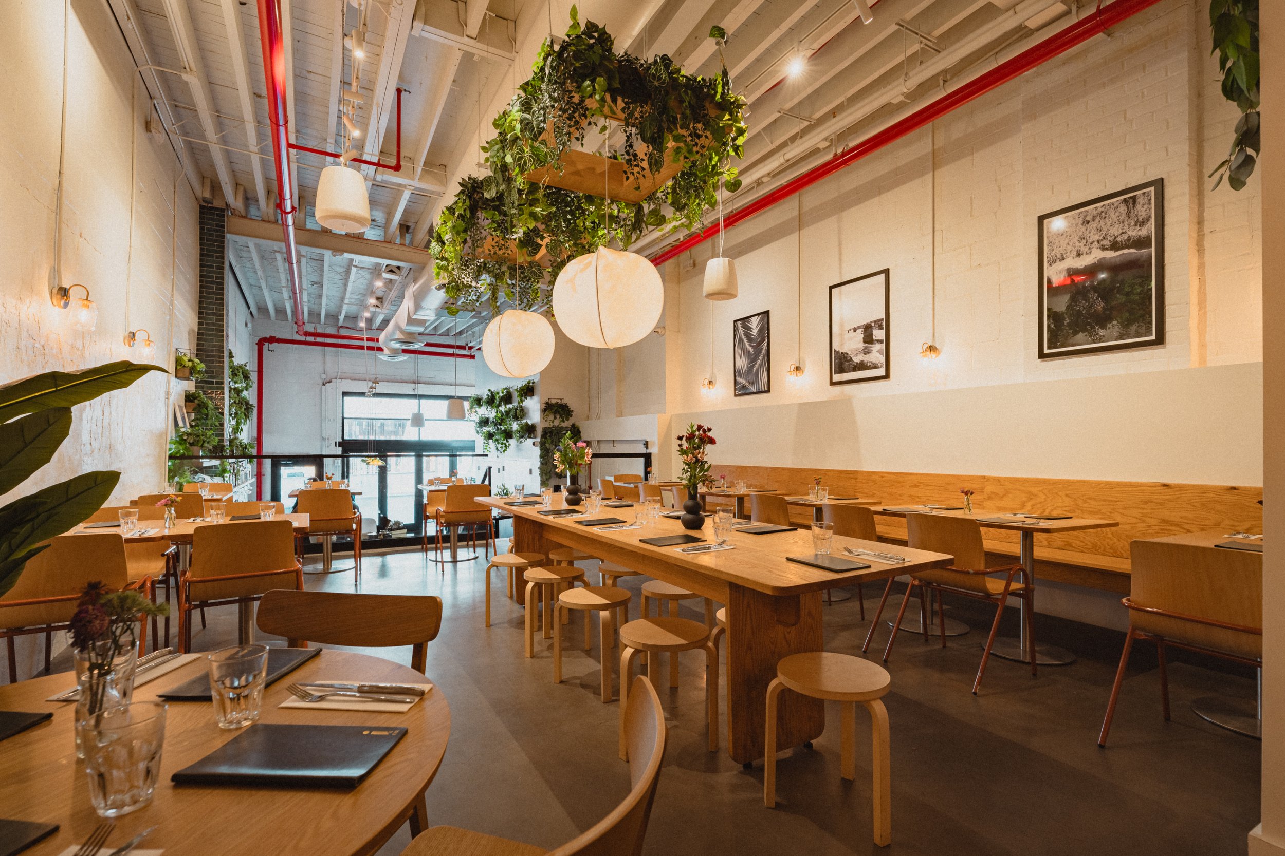 Isla & Co - Nov 25 @ALEXANDROLOAYZA-05969.jpg