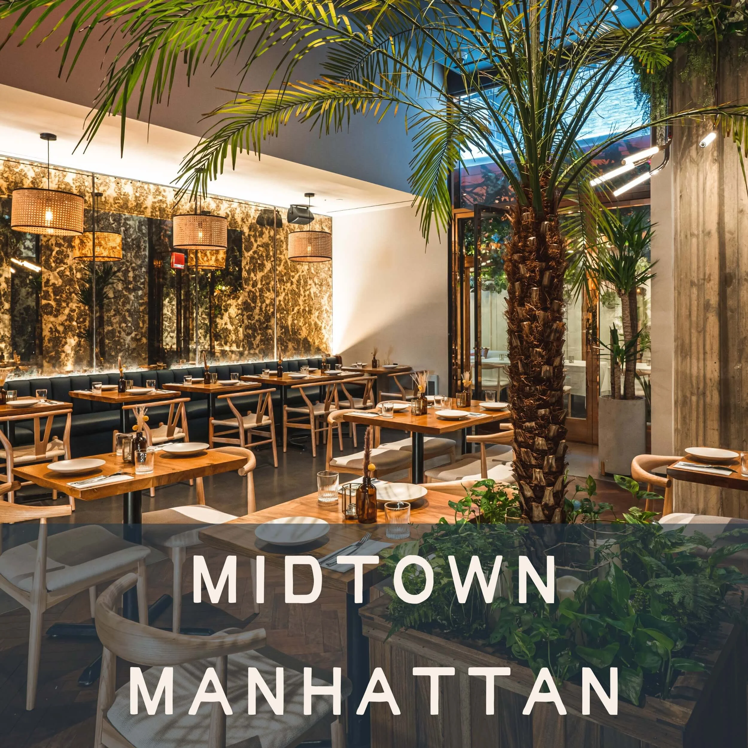 Isla Co Midtown Manhattan