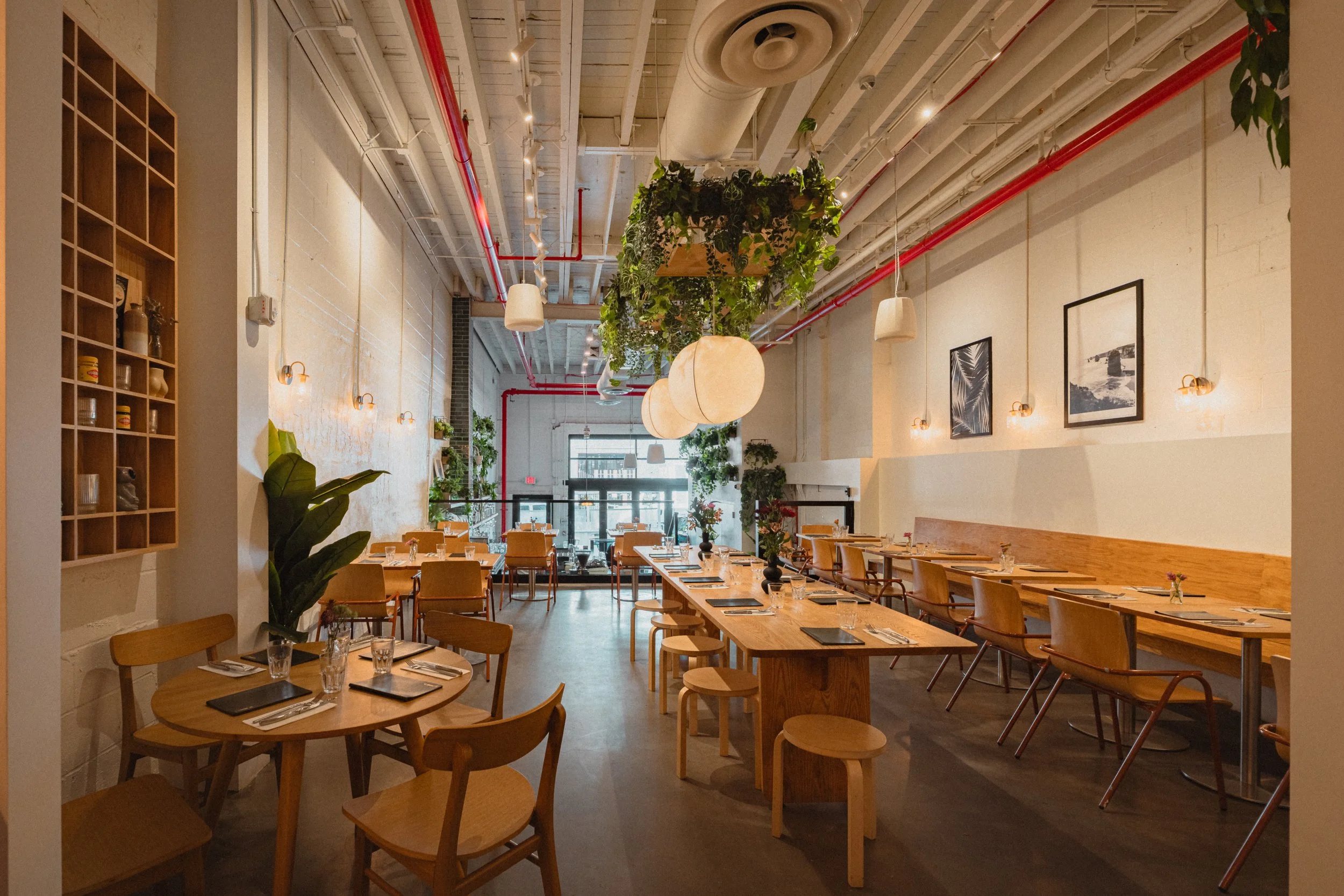Isla & Co williamsburg