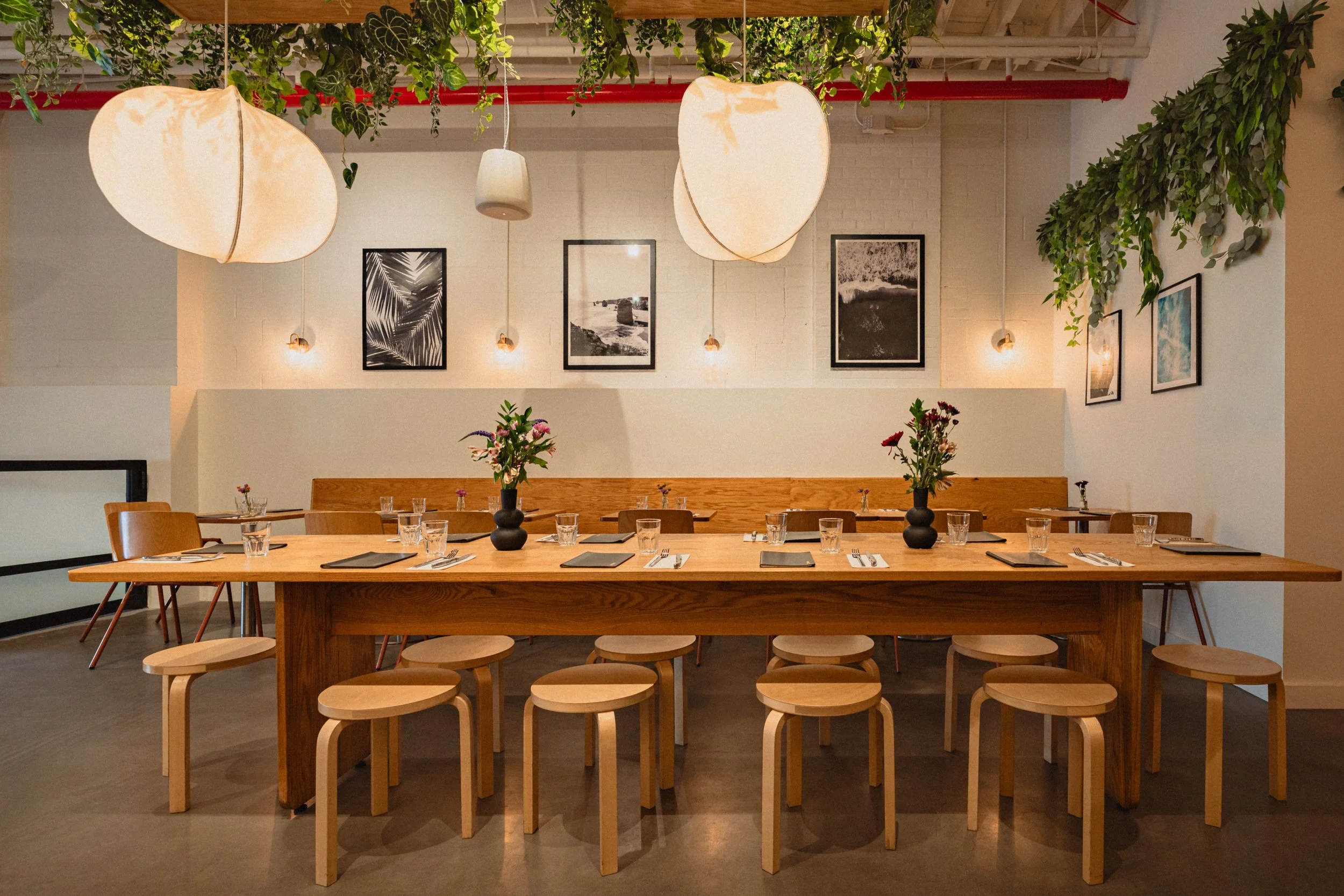 Isla & Co - Williamsburg dinner and brunch restaurant