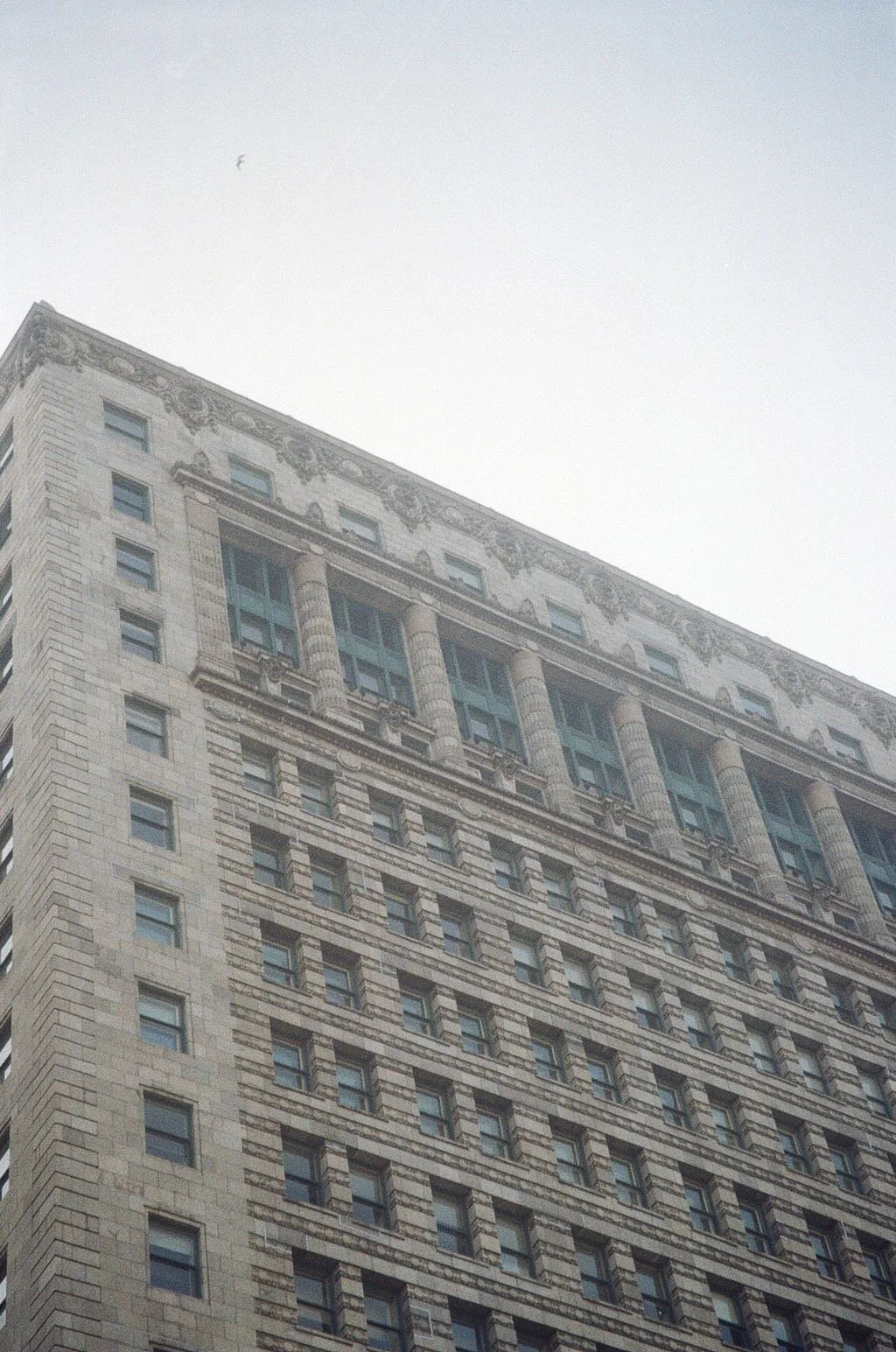 IMG_7132_Original.jpg