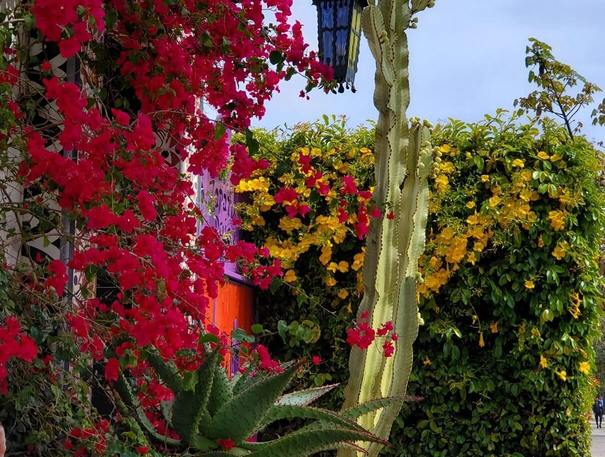 🎬✨ Film enthusiasts, plan your 2024 Santa Barbara International Film Festival stay at El Zapato! Nestled in the heart of downtown Santa Barbara, our prime location ensures easy access to screenings and events. Experience comfort redefined in plush r