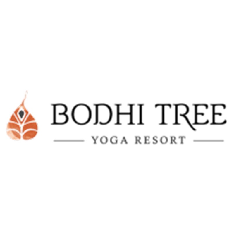 bodhi-tree-nosara.jpg