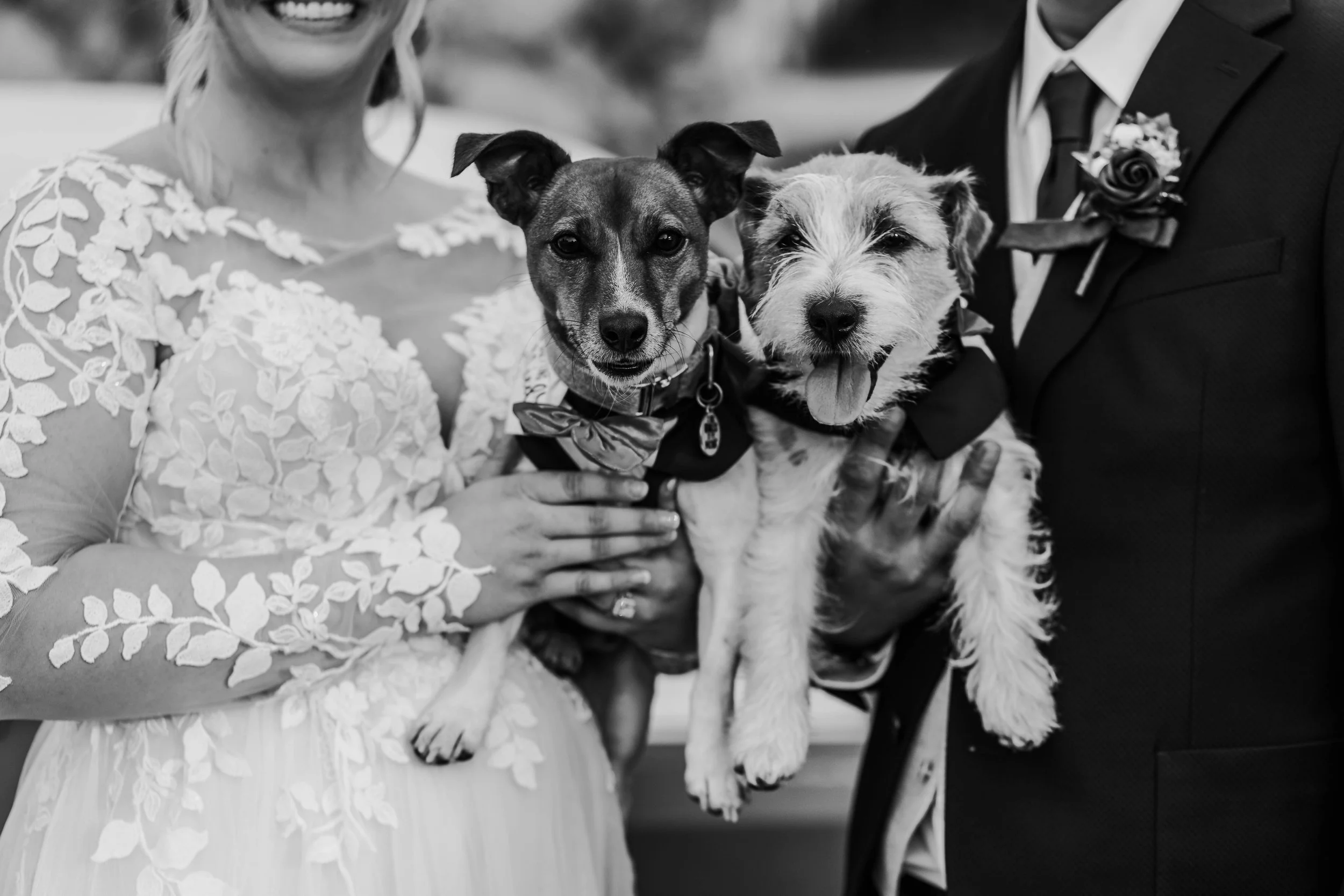 Alex&Kevin (45 of 72).jpg