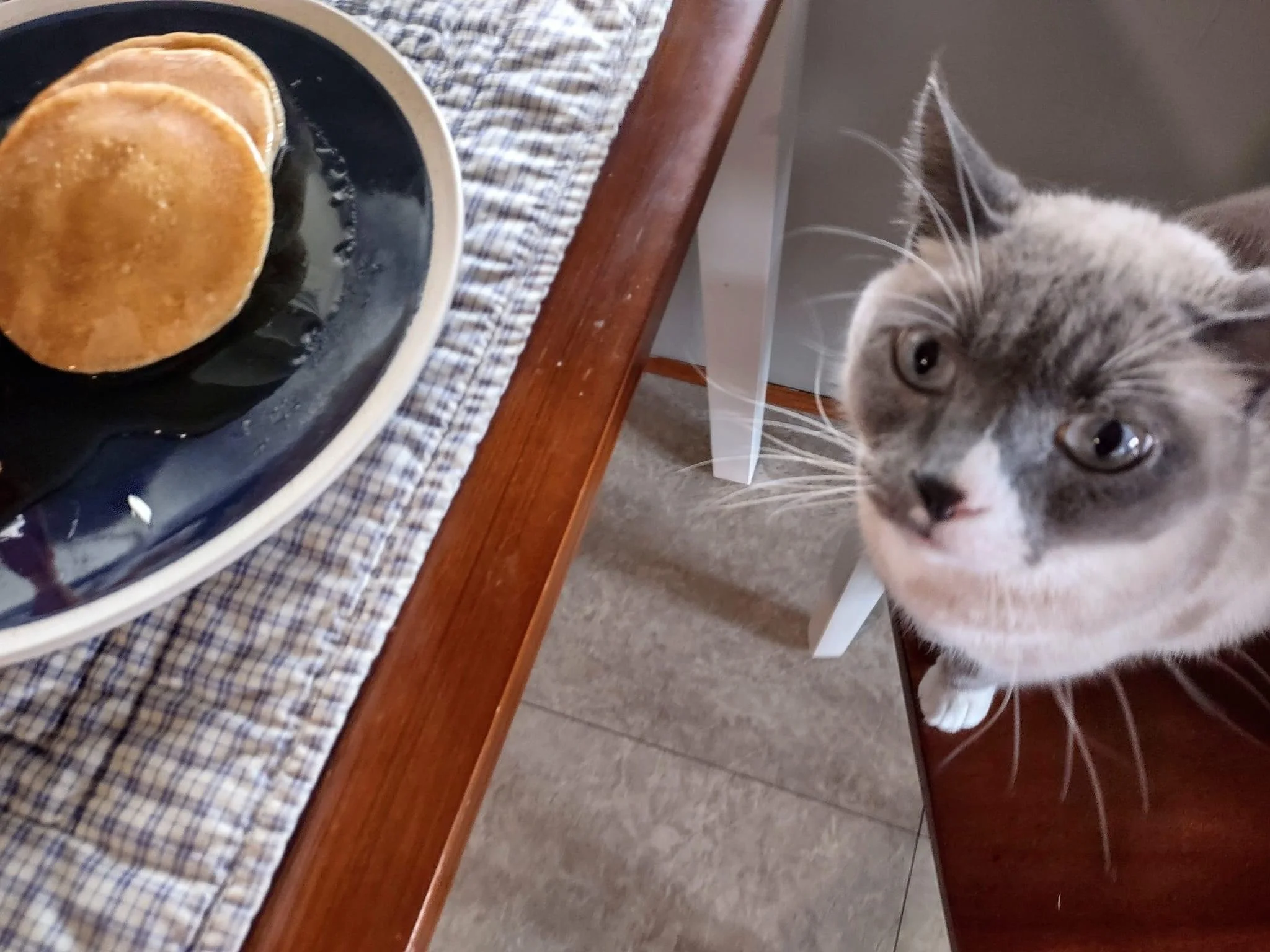 pancakes for roger 23.42.JPG