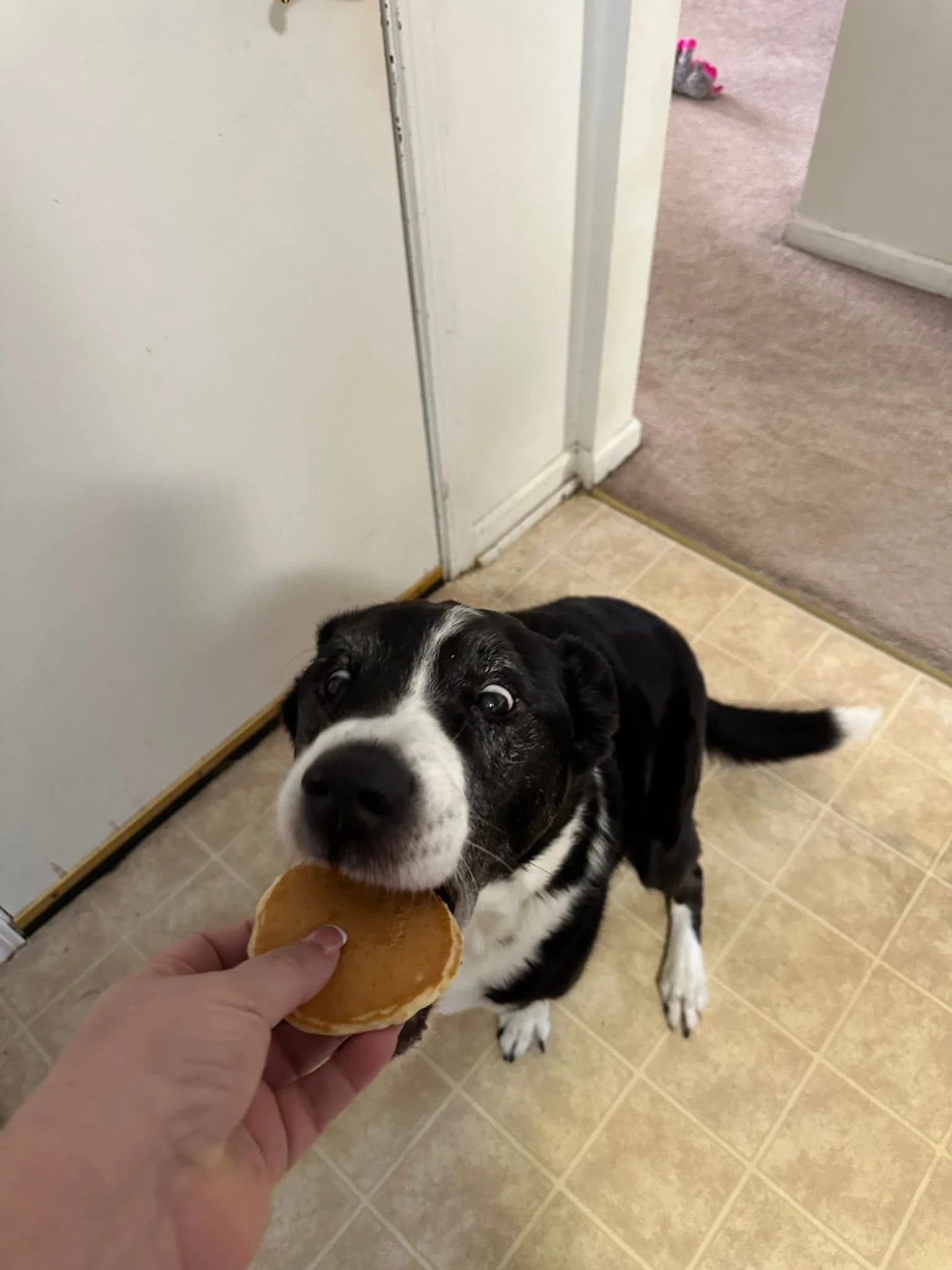 Photo Feb 08 2026, 9 28 25 AM.jpg