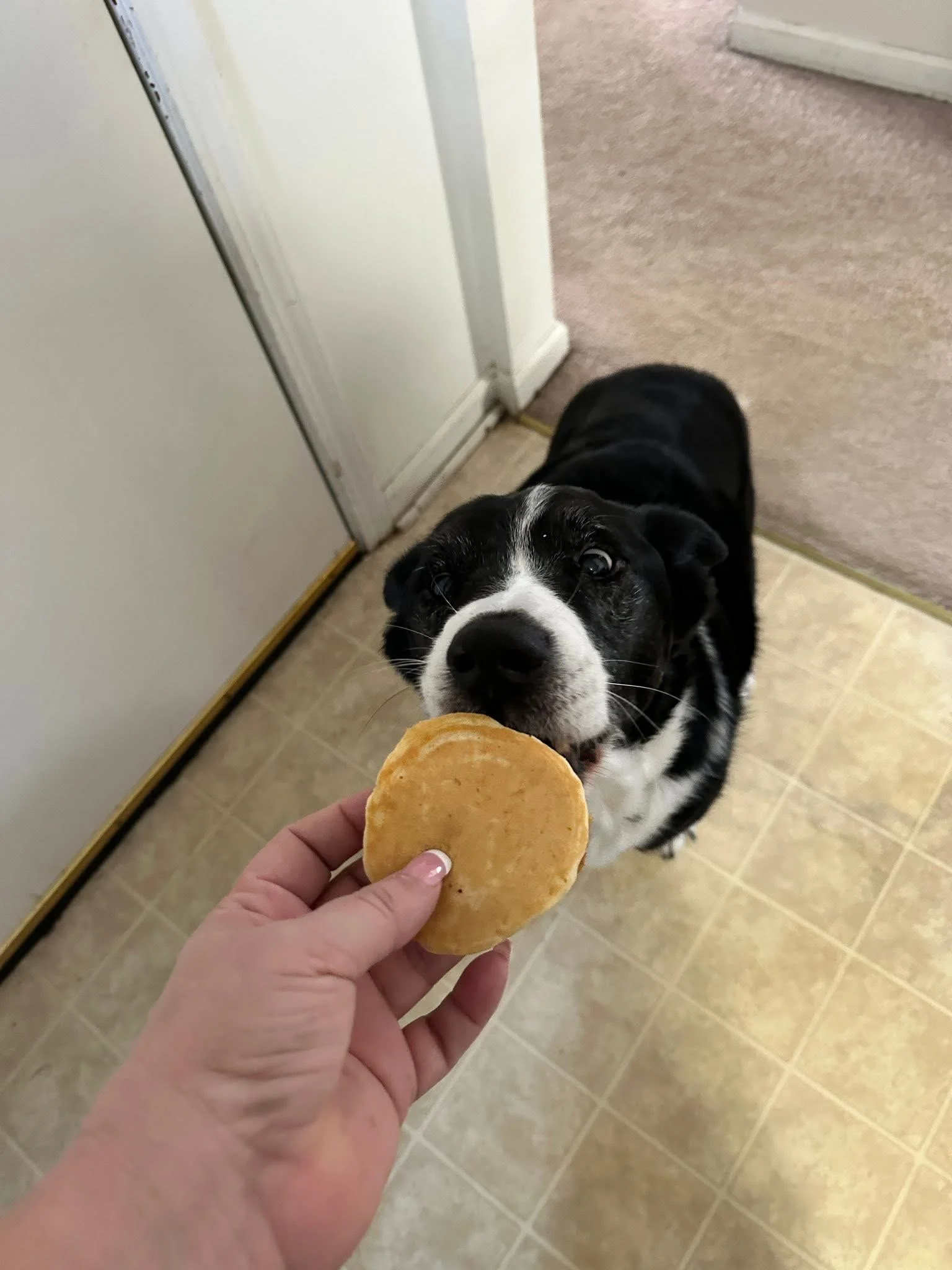 Photo Feb 08 2026, 9 28 25 AM (1).jpg