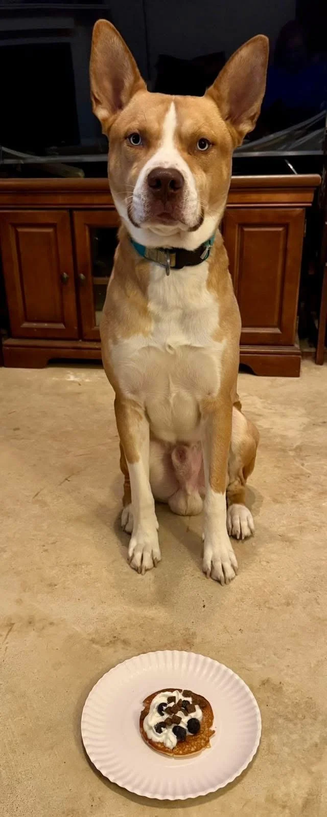 Photo Feb 07 2026, 1 49 50 PM (3) (1).jpg