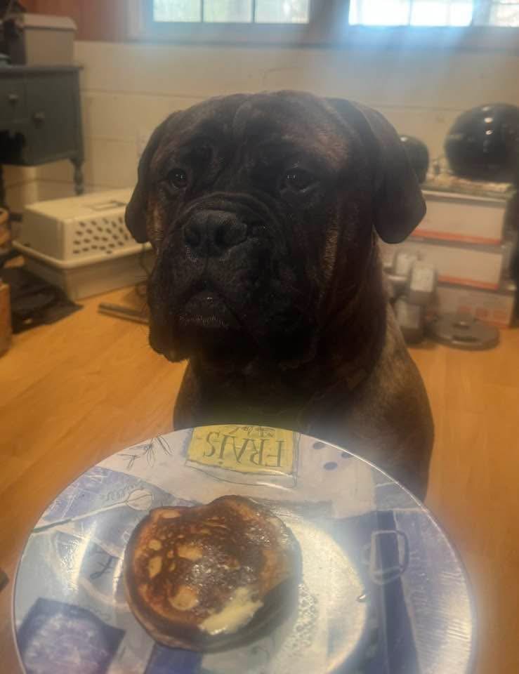 Photo Feb 08 2026, 11 39 54 AM (2) (1).jpg