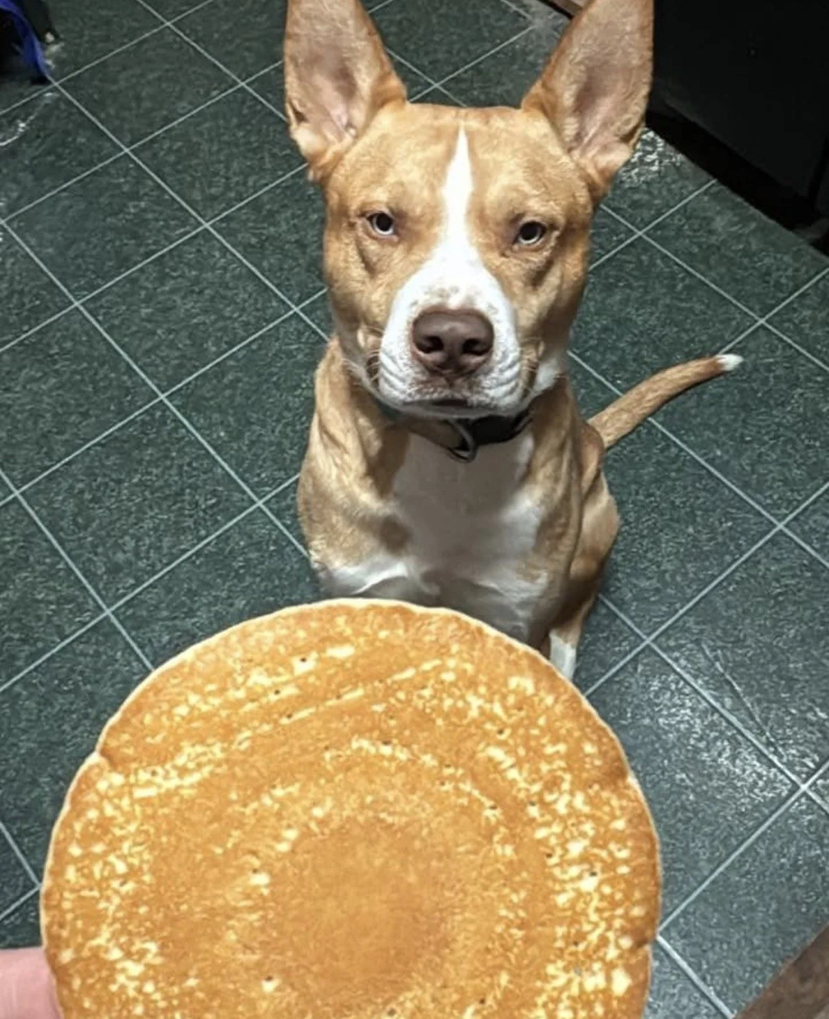 Photo Feb 06 2026, 5 36 52 AM.jpg