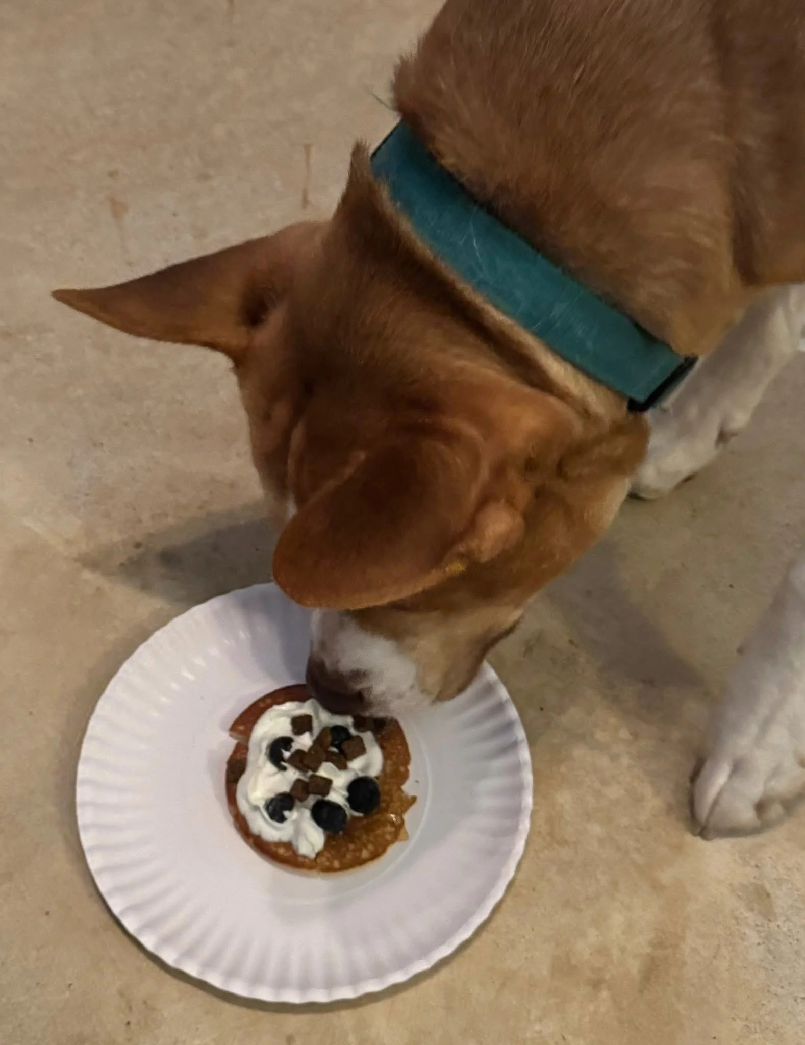 Photo Feb 07 2026, 1 49 50 PM (2).jpg