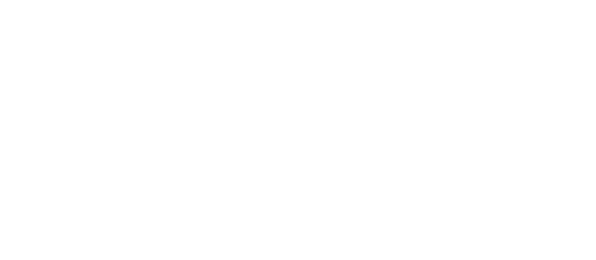 Birthspark