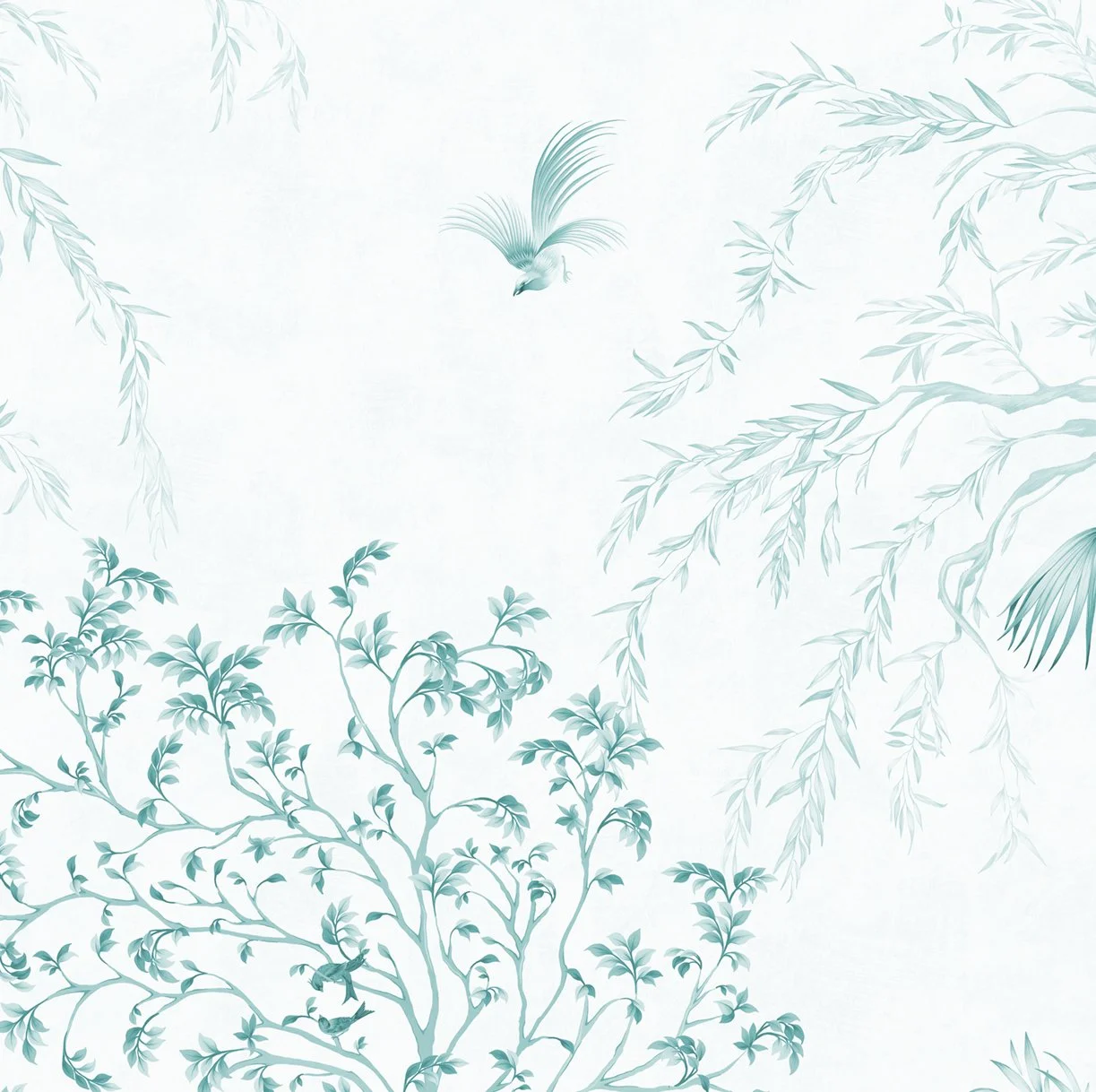 SAMPLE SQUAREpsd.jpg