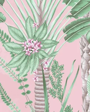 paradise-camellia-blush-wallpaper-close-up-detail.webp