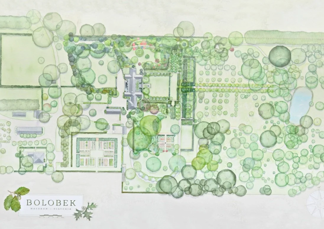 What's On — Bolobek
