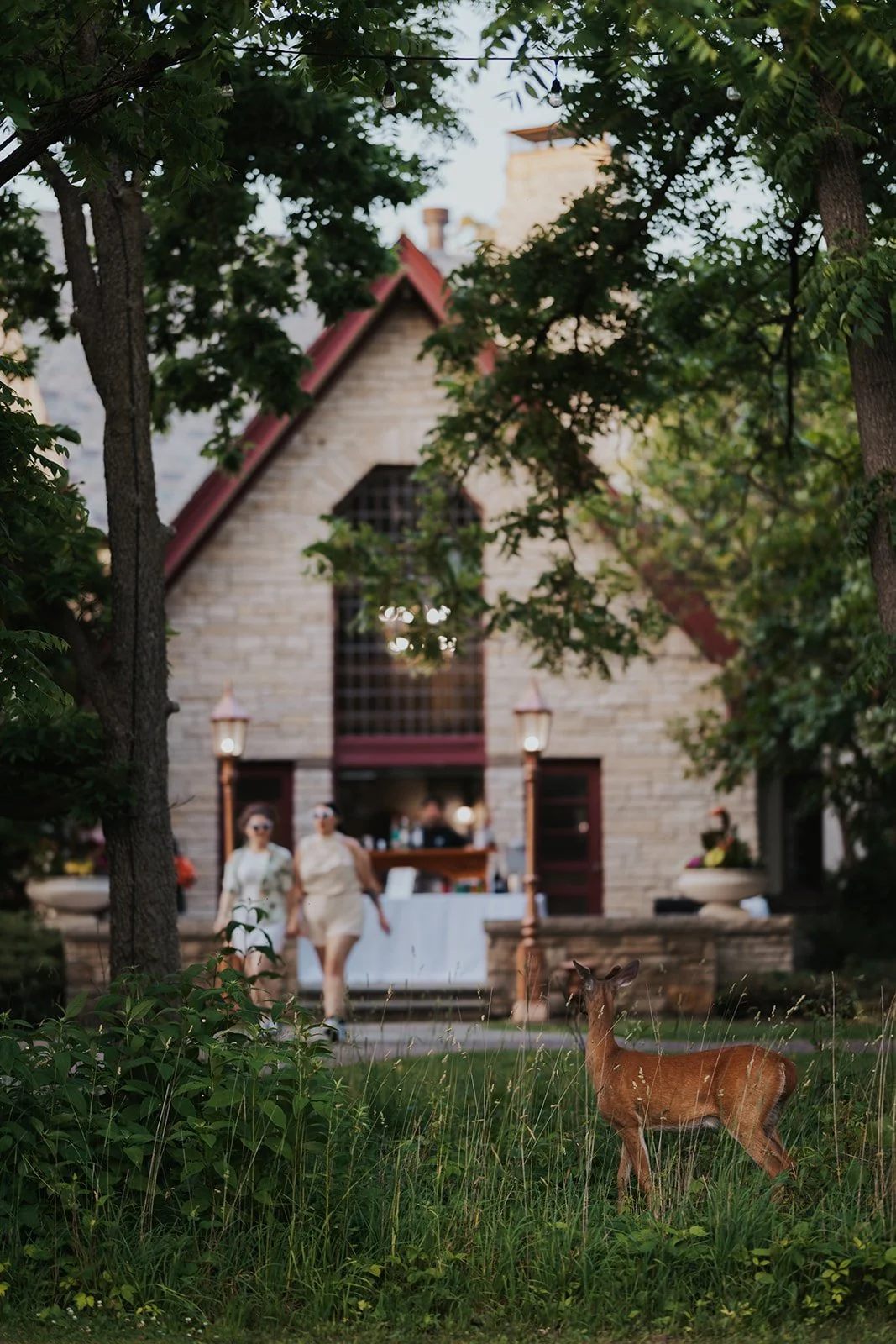 Deer outdoors at Redfield Estate wedding reception