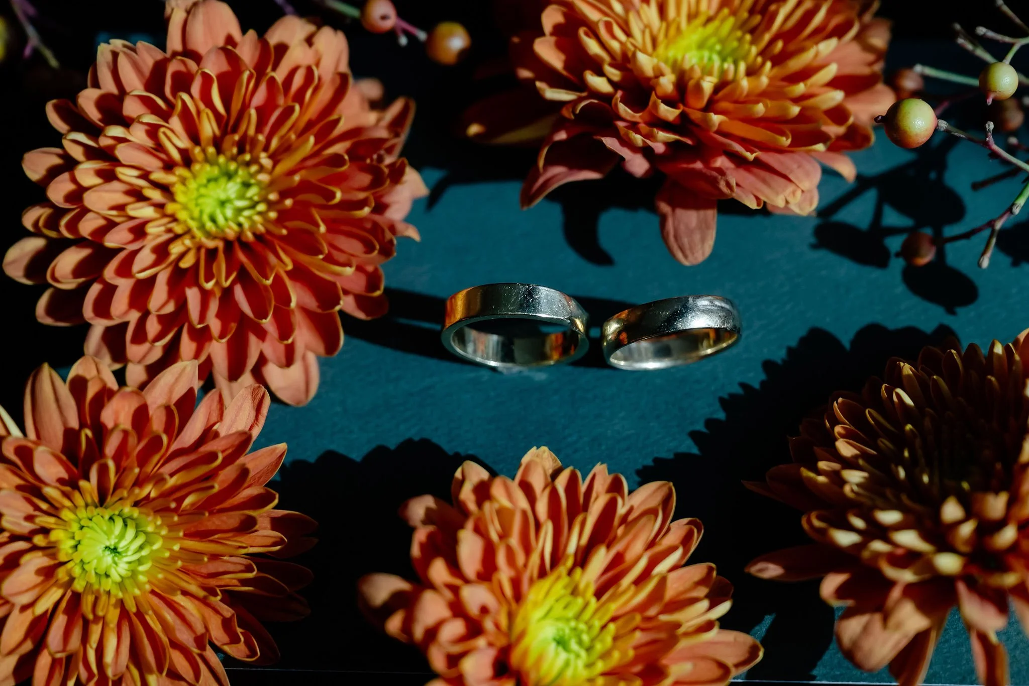 Two silver wedding bands with teal background and coral flowers around it