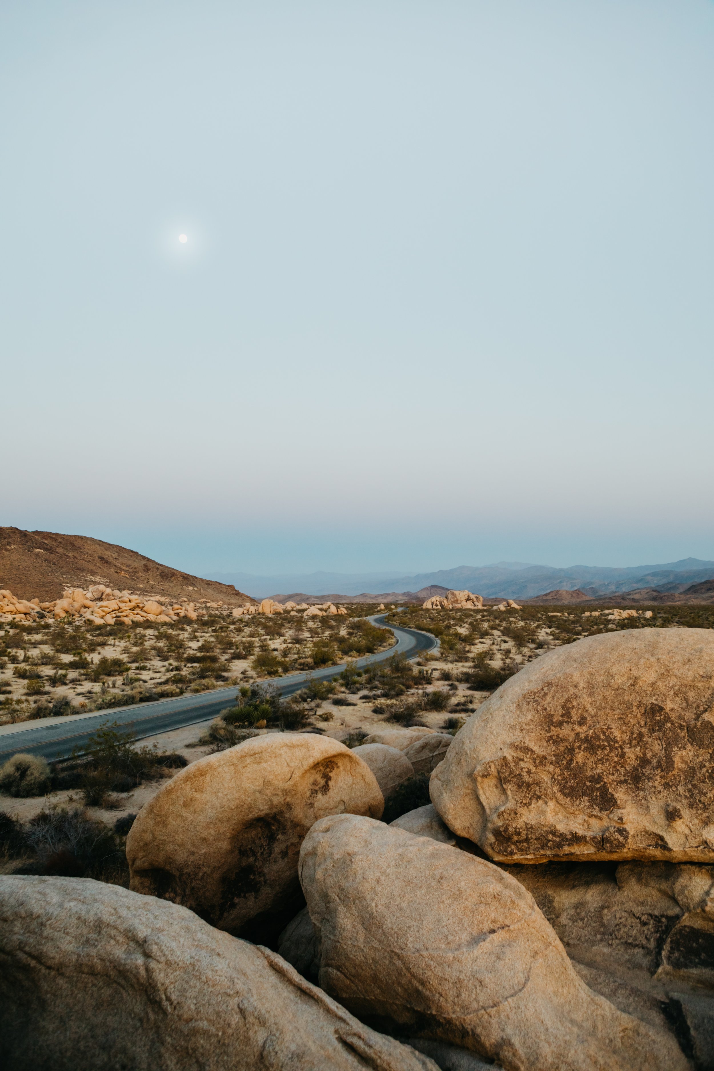 PRINT_JoshuaTree-LEX_2860.jpg