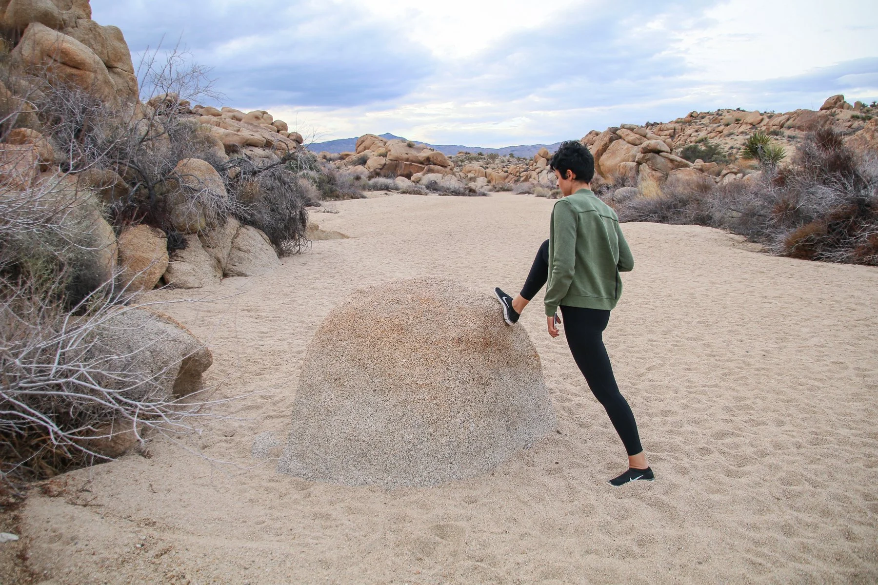 20-CA-joshuatree52.jpg