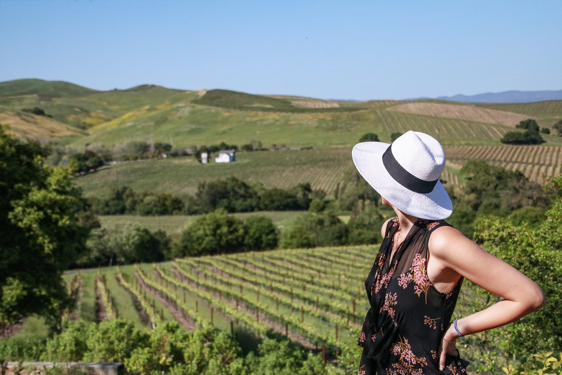 20-CA-napavalley15.jpg