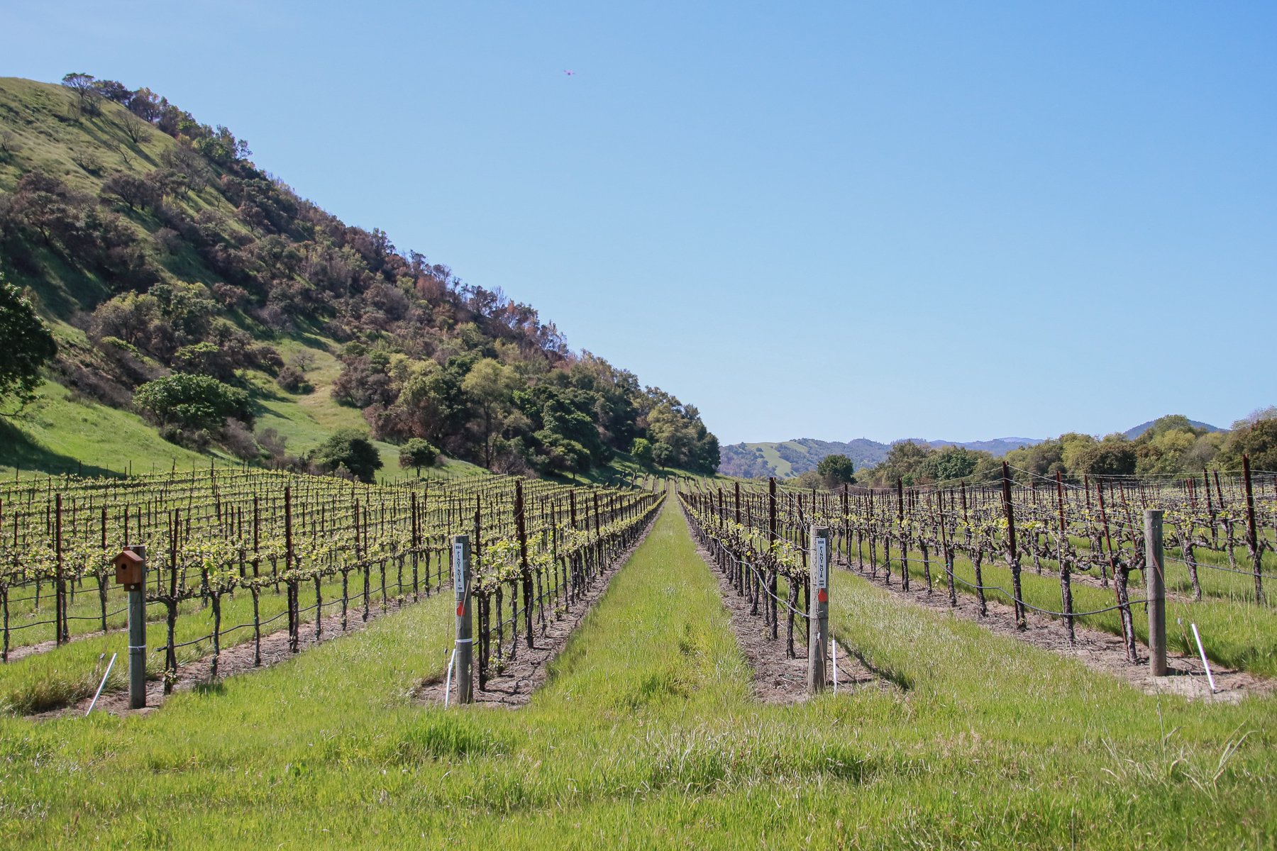 20-CA-napavalley05.jpg