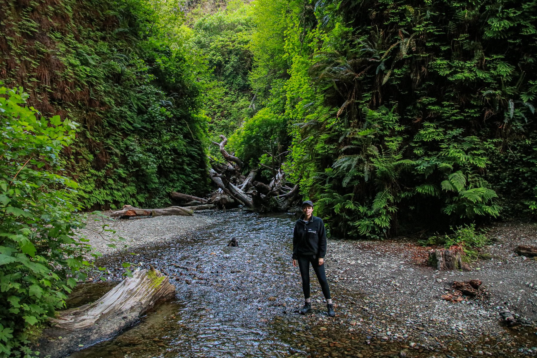 20-CA-redwoods10.jpg