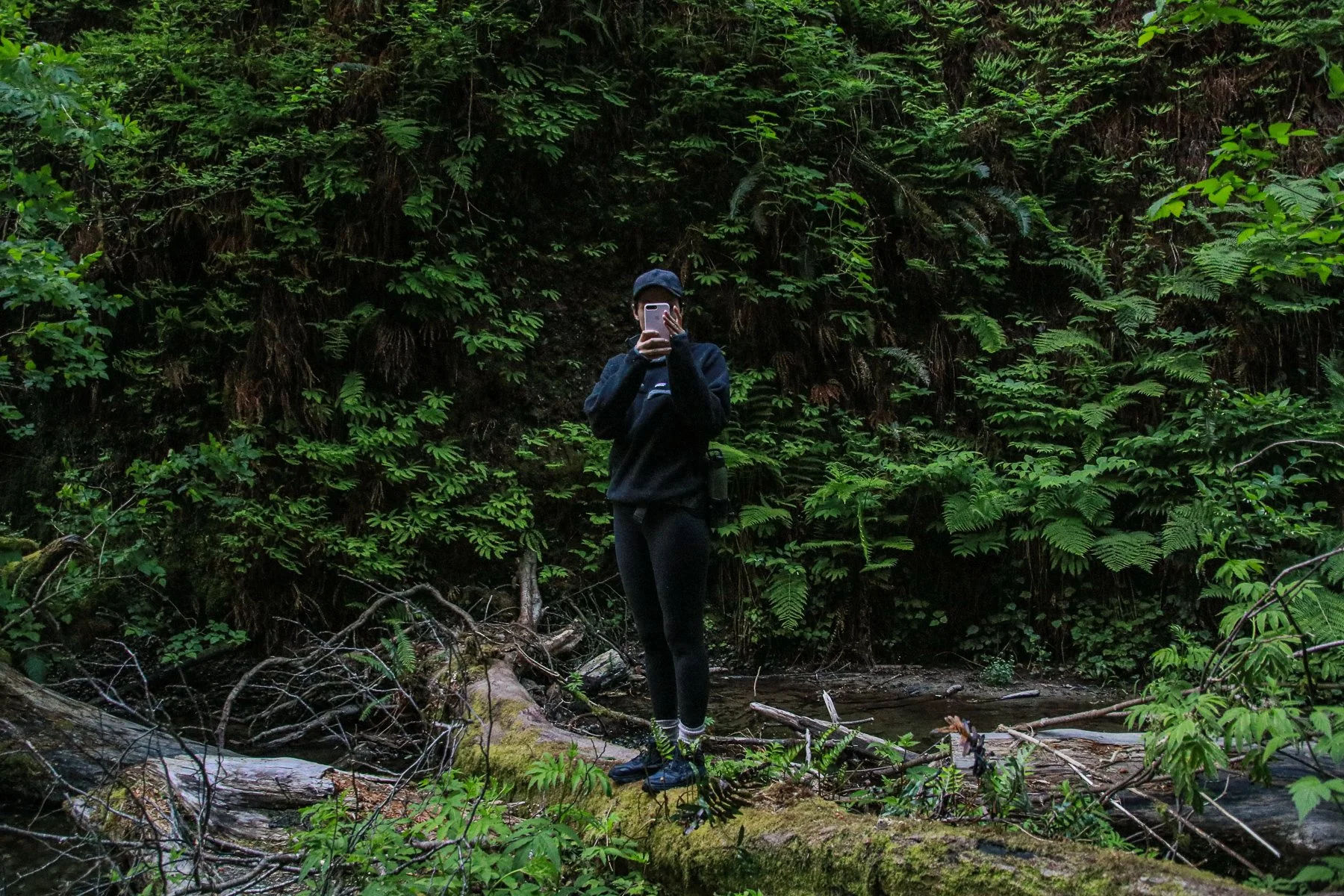 20-CA-redwoods13.jpg