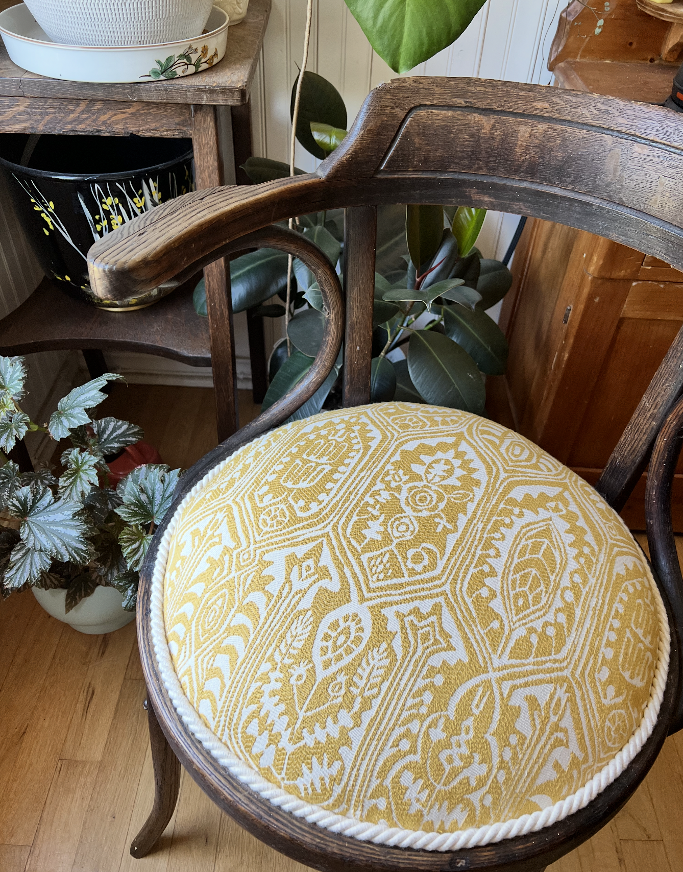 A wooden chair with a yellow and white patterned cushion placed on it. There are indoor plants and a table with various decorative items in the background.