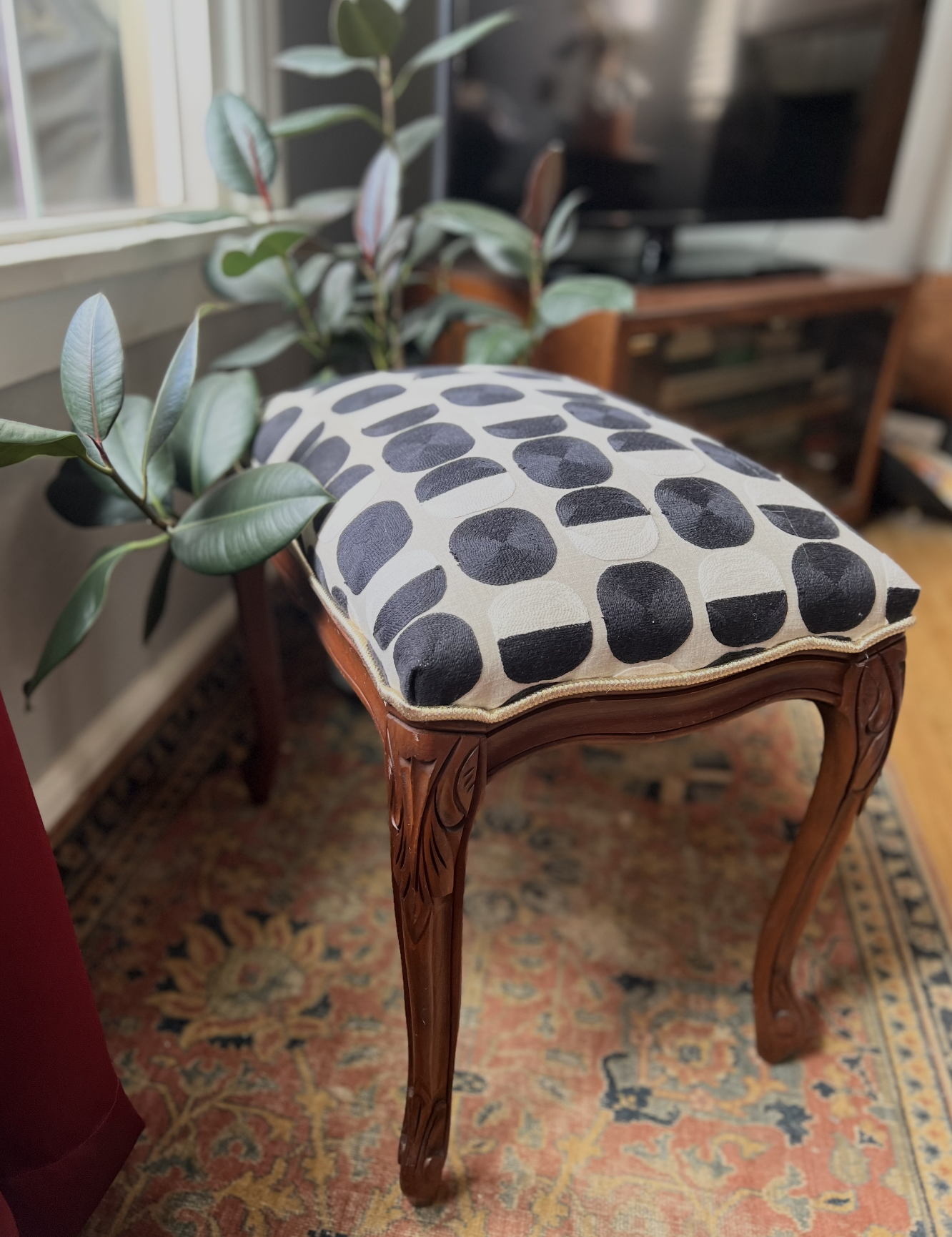 A wooden chair with carved legs and a cushioned seat covered in fabric with a black and white circular pattern, positioned next to a green plant near a window, with a TV and wooden furniture in the background, on a patterned rug.
