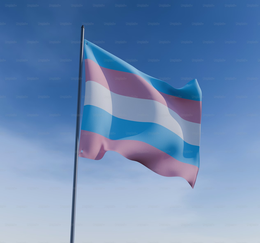 trans flag blue sky.png