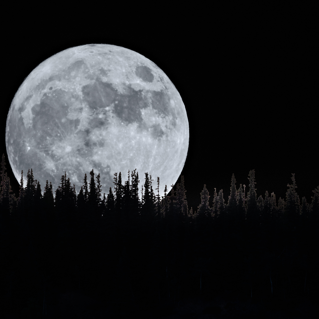 A Shrill Moon