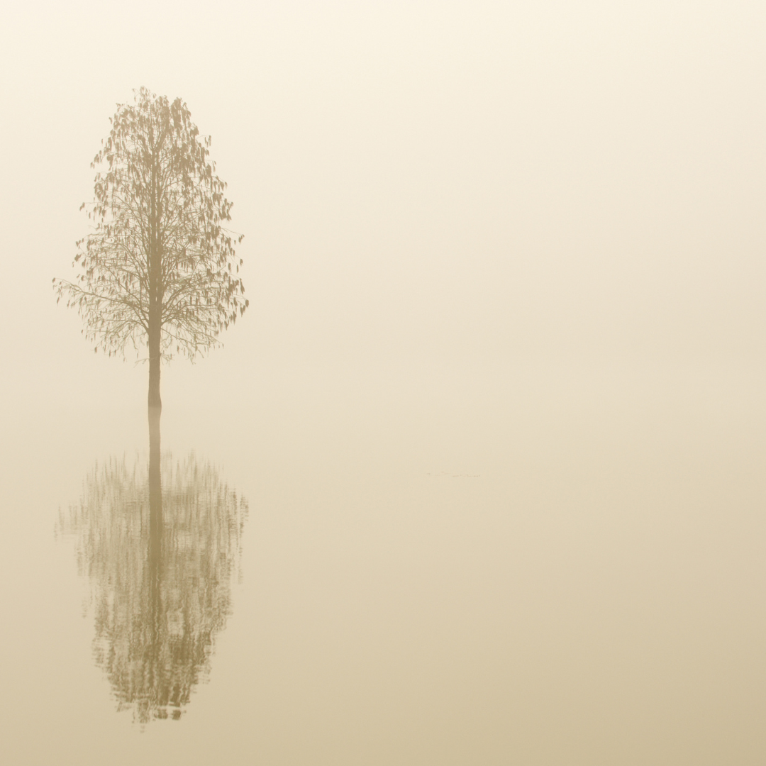 Silence