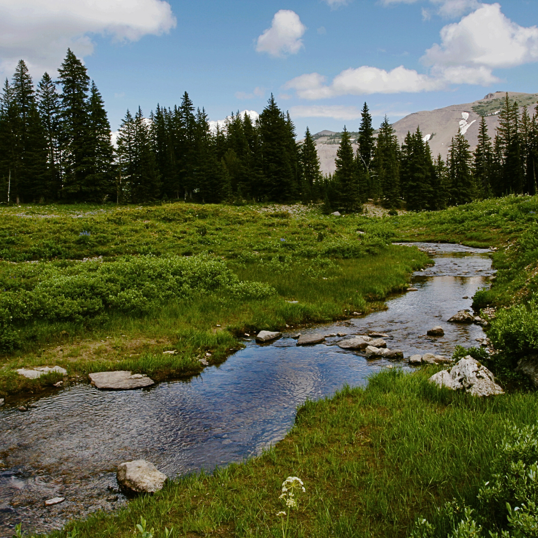 My River