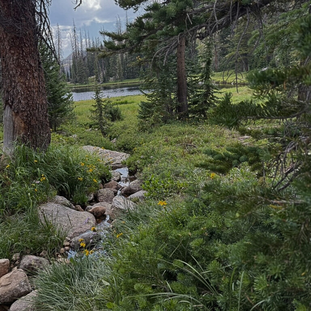 Headwaters
