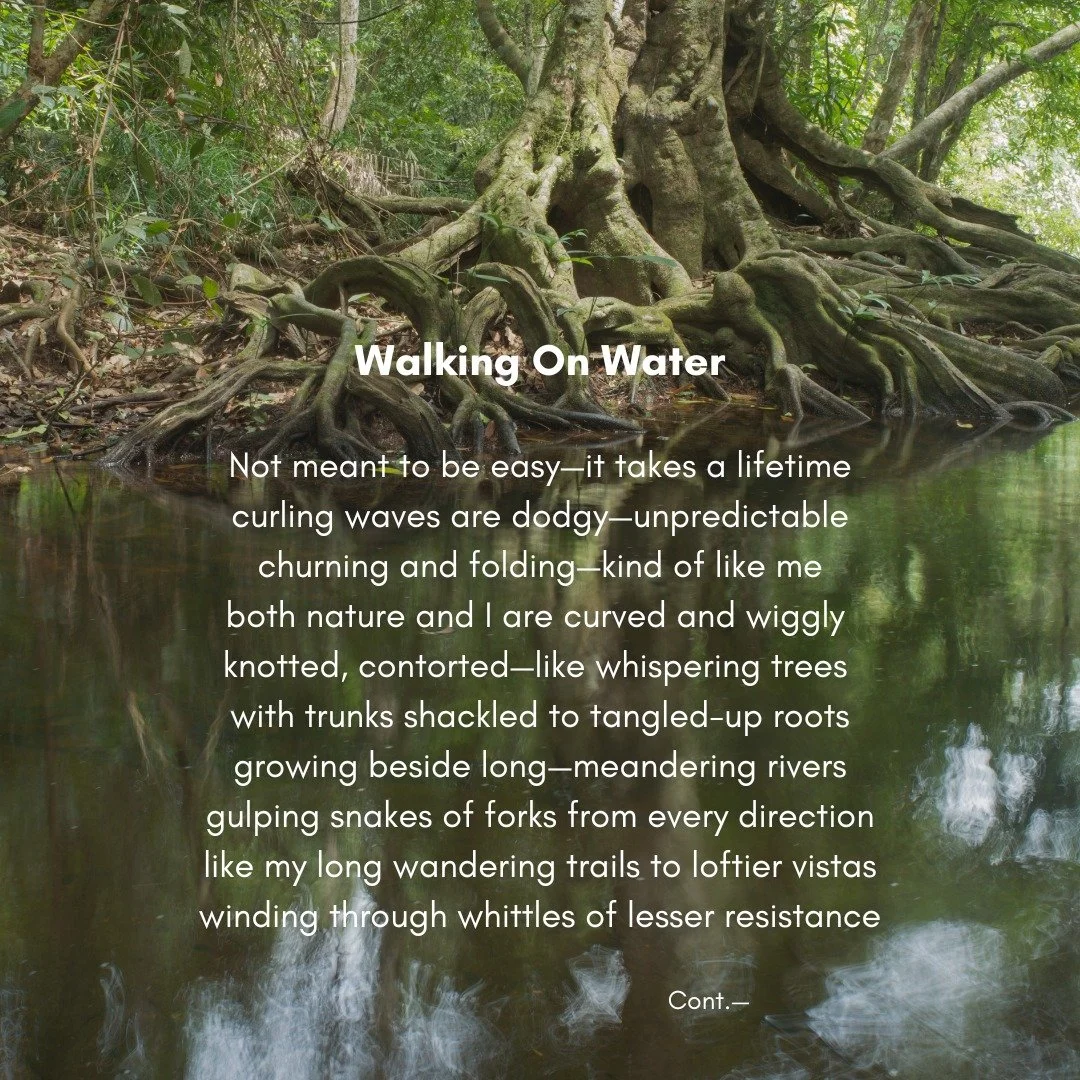 May we all have hope for a blessed new year!
.
.
.
.
#murmuration 
#poeticreveries_&nbsp;
#cosmosofwriters
#writersnetwork
#poets
#poetsofinstagram&nbsp;
#igpoetry
#poetry&nbsp;
#poetryofinstagram&nbsp;
#poetryislife
#creativewriting&nbsp;
#poems&nbs