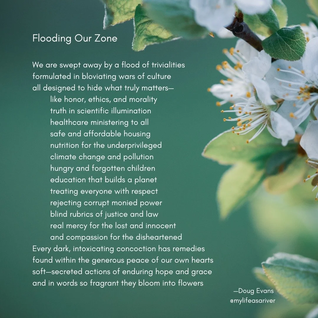 Why do we let the little stuff distract us from the big stuff?
.
.
.
.
#loveeveryone 
#poeticreveries_&nbsp;
#cosmosofwriters
#writersnetwork
#poets
#poetsofinstagram&nbsp;
#igpoetry
#poetry&nbsp;
#poetryofinstagram&nbsp;
#poetryislife
#creativewriti